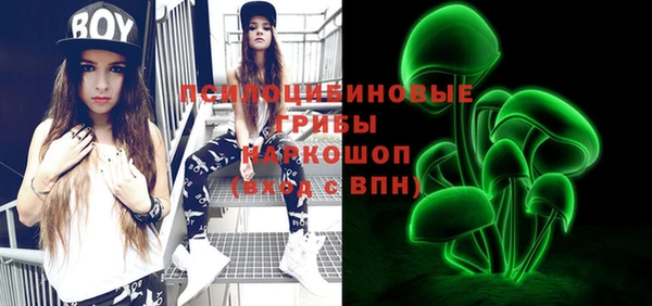 шишки Балабаново