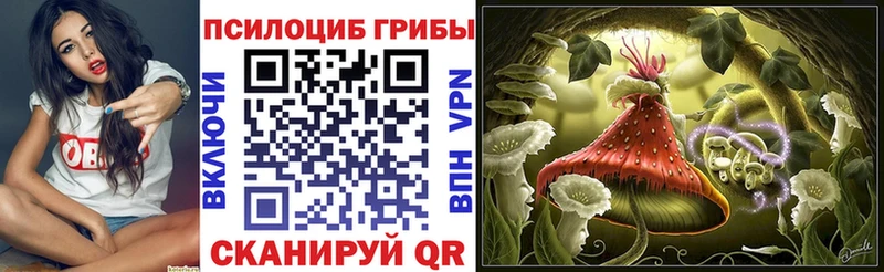 Псилоцибиновые грибы MAGIC MUSHROOMS Ясногорск