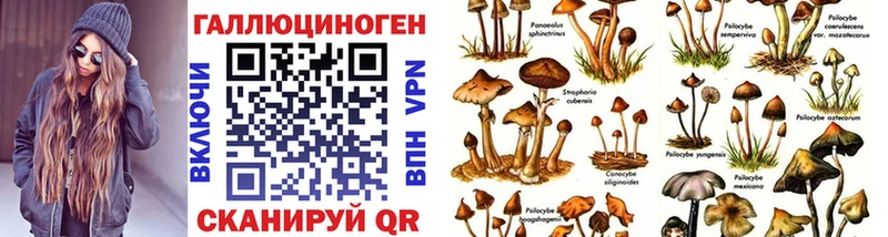 Псилоцибиновые грибы ЛСД  Ясногорск 
